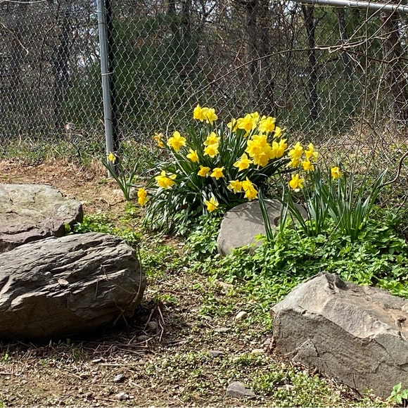 Meet your Posher, Joanne - Picture 1 of 1